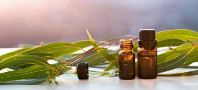 Пиносол – инструкция по применению, цена, отзывы, капли, спрей, мазь, крем