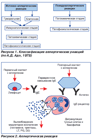 Отек квинке - причины, симптомы, первая помощь и лечение