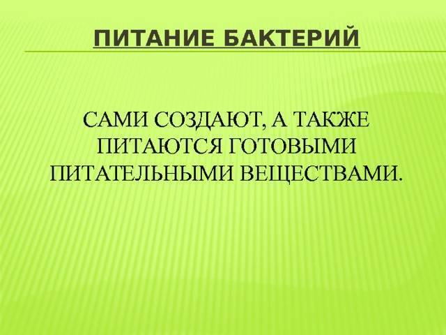 В чём различие между бактериями, вирусами и паразитами?