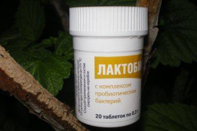 Лактобифадол для собак