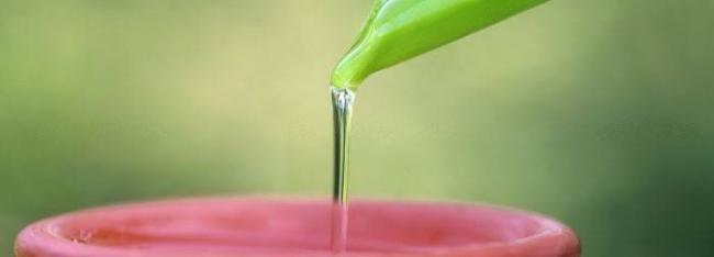 Как вылечить ячмень на глазу за один день в домашних условиях