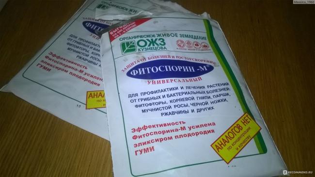 Фитоспорин – как не допустить ошибок при применении