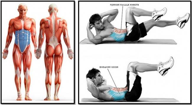 Как расслабить мышцы спины: лучшие способы + комплекс упражнений