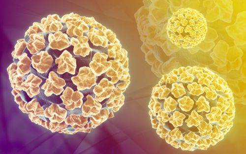 Папиллома на веке удаление народными средствами