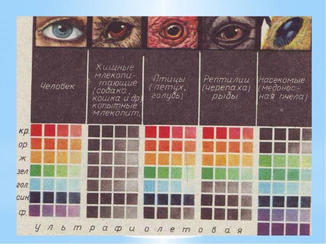 Какие факторы способствуют росту и развитию бактерий в различных средах