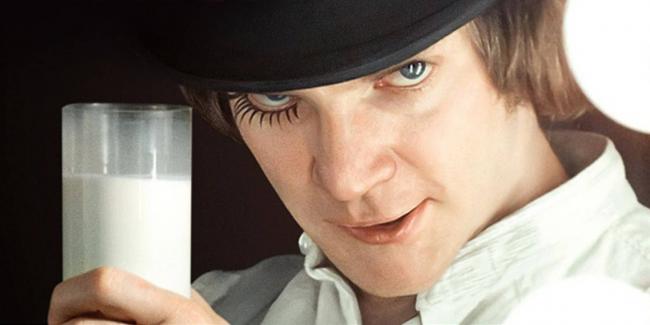 Польза и вред молочнокислых бактерий