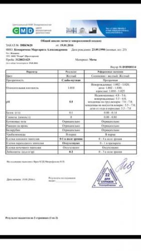 Что означает появление бактерий в моче, что делать и насколько это опасно?