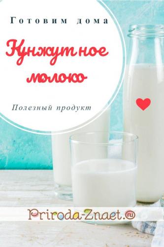 Чем опасно молоко: патогенные бактерии и вирусы