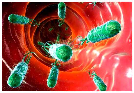 Как вылечить хеликобактер пилори народными средствами