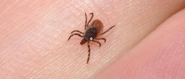 Как избавиться от шума в ушах: причины и методы лечения тиннитуса