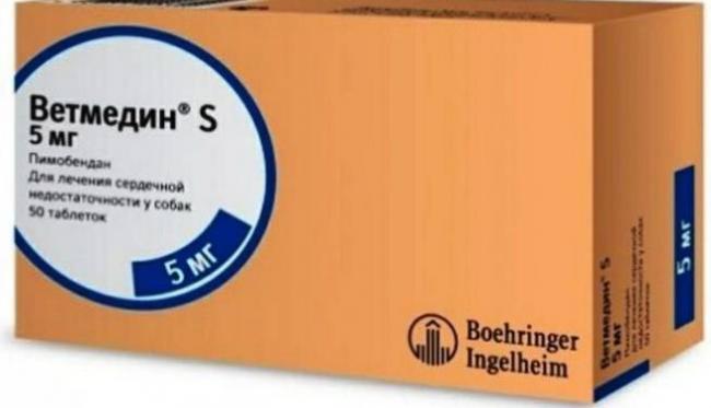 Как отличить сердечный кашель от аллергии и инфекции