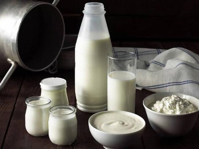 Коровье молоко опасно для здоровья человека!!!