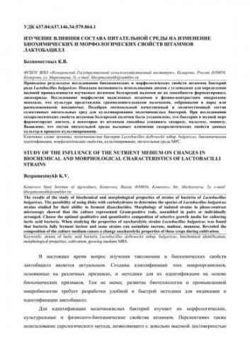 Молочнокислые бактерии — циклопедия