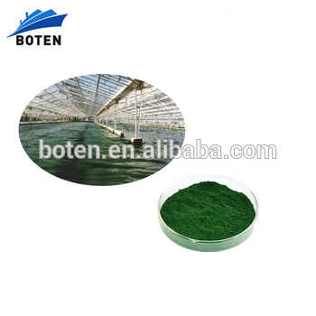 Как правильно принимать спирулину для похудения