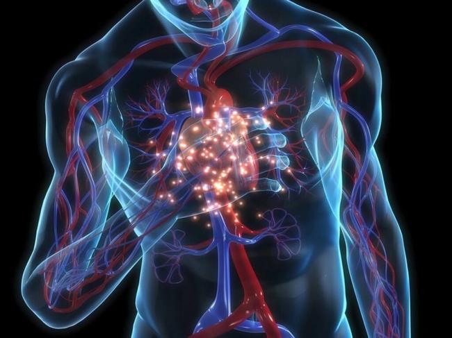 Пневмосклероз легких | eurolab | пульмонология