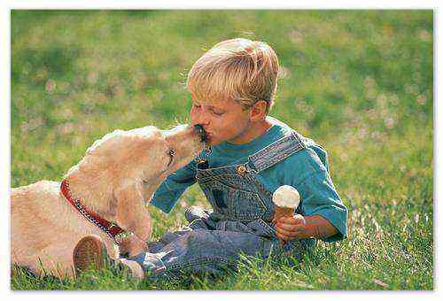 Немозол - инструкция по применению