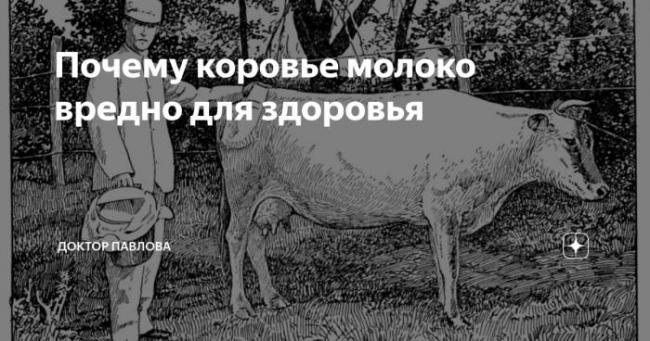 Микробиология молока и молочных продуктов — студопедия