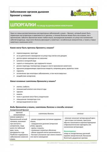 Основные проявления бронхиальной астмы: первые признаки и основные симптомы
