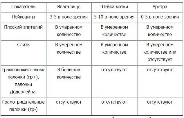 Бактериоскопическое исследование окрашенного мазка
