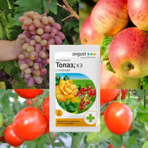 Фунгицид топаз