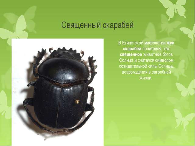 Какие факторы способствуют росту и развитию бактерий в различных средах