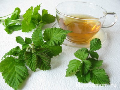 Лекарственные растения при беременности - запись пользователя надежда (id1319819) в дневнике - babyblog.ru