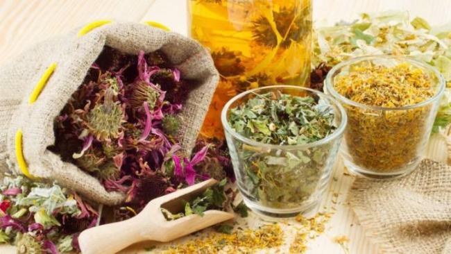 Травки-муравки в «пузатом» периоде или применение фитотерапии во время беременности