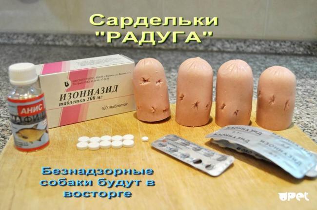 Москва, изониазид - изониазид инструкция по применению для собак - запись пользователя ❅юлька❅ (lusunja) в сообществе домашние животные в категории болезни любимцев - babyblog.ru
