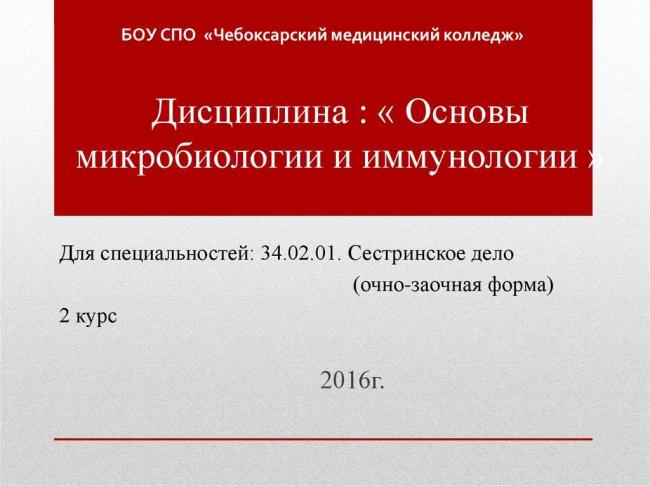 Молочнокислые бактерии