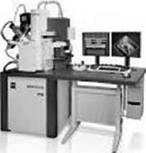 Какого цвета бактерии?