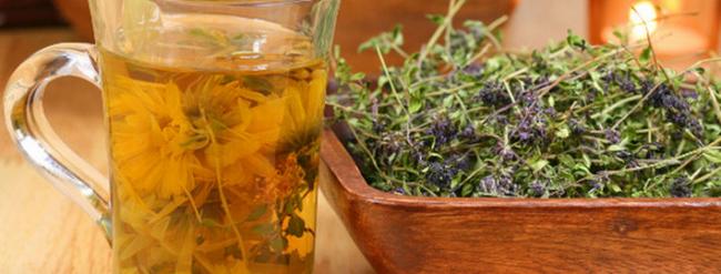 Травы при беременности