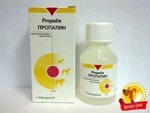 Лекарство Пропалин поможет вылечить недержание мочи у собаки