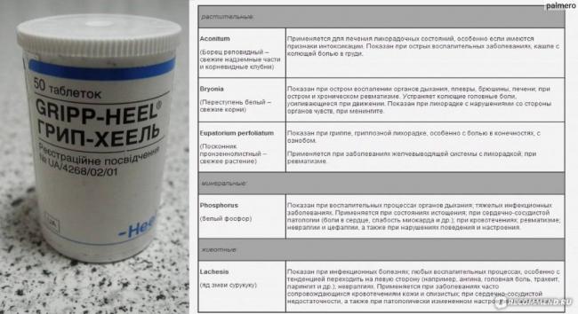 Как лечить грипп у взрослых и детей. лекарства и народные средства против простуды, гриппа,орви в домашних условиях