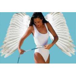 Диета ангела: меню на 13 дней, отзывы