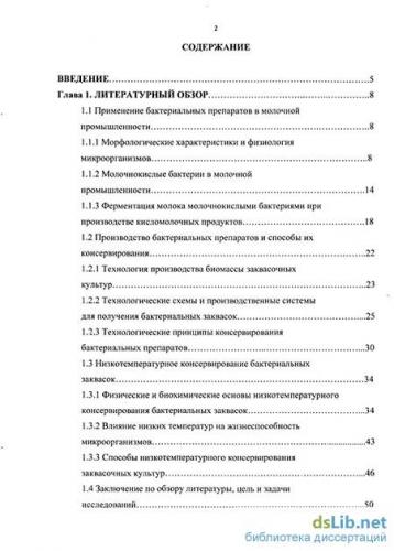 Молочнокислые бактерии — маленькие помощники большого организма