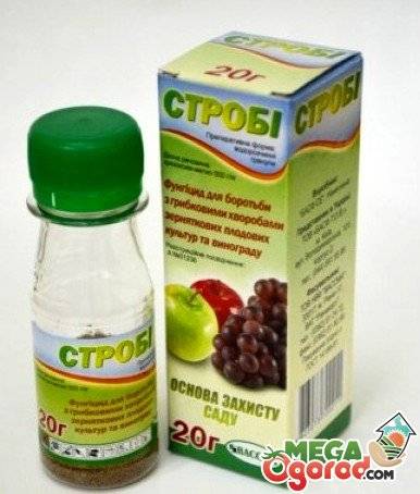 Как применять препарат Строби, инструкция по применению