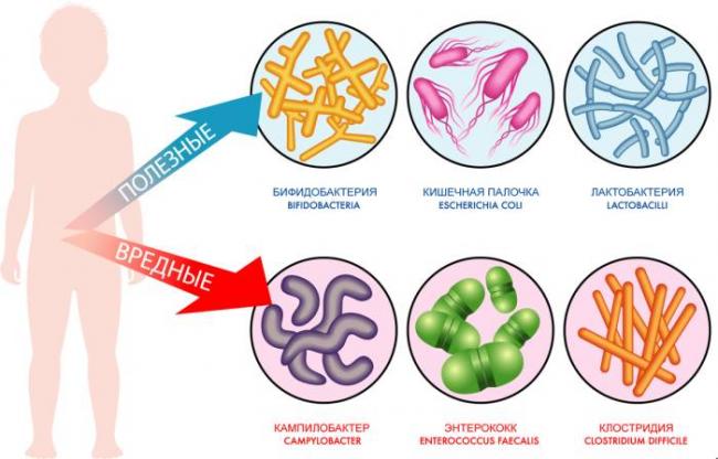 Вероятность присутствия бактерий в крови