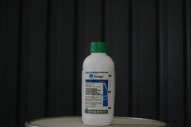 Фунгицид топаз: инструкция по применению средства для различных культур