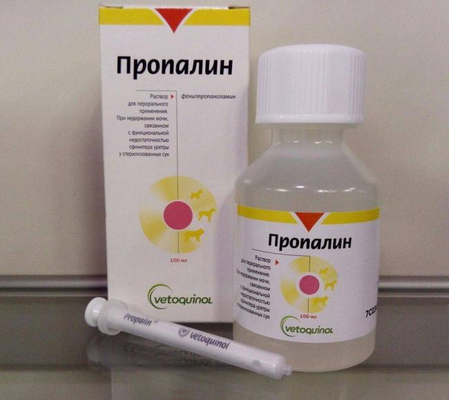 Лекарство Пропалин поможет вылечить недержание мочи у собаки