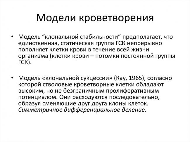 Стволовая_клетка : definition of стволовая_клетка and synonyms of стволовая_клетка (russian)