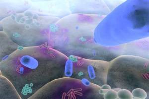 Зачем нужны и чем опасны бактерии для желудка