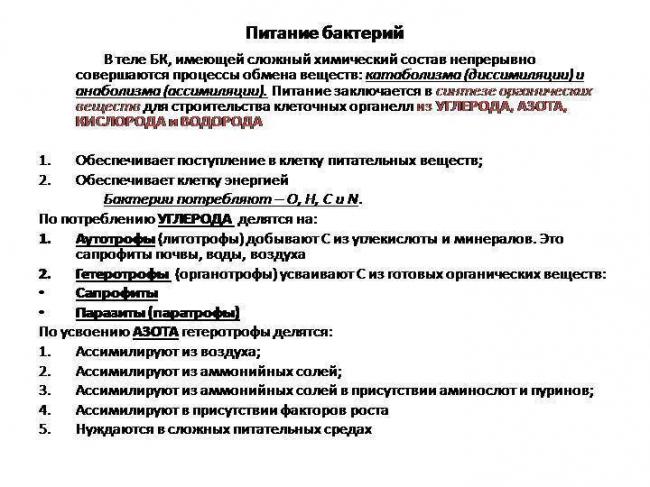 Паразиты в организме человека