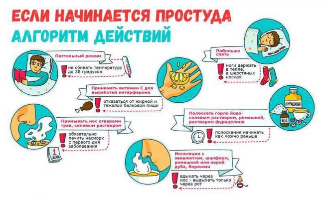 Как за день вылечить простуду: проверенные способы