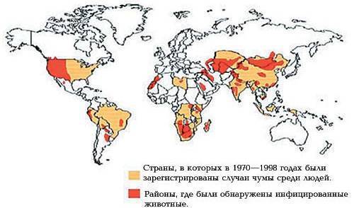Бактерия синтия съедает всех. современное биооружие