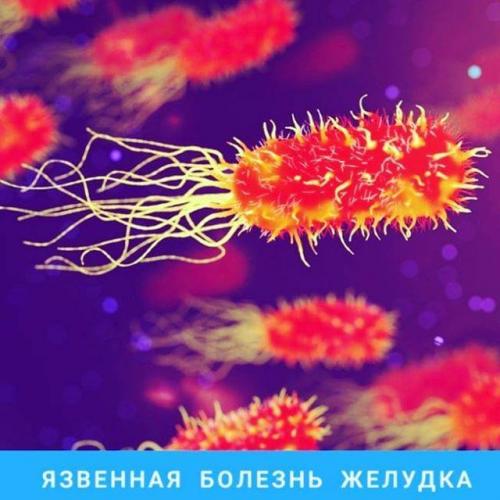 Синдром избыточного бактериального роста: как с ним бороться