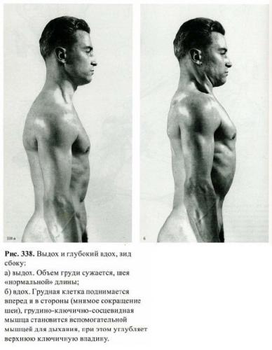 Симптомы и лечение эмфизематозной грудной клетки