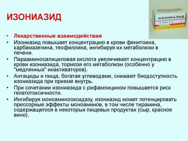 Применение таблеток изониазид для собак – инструкция