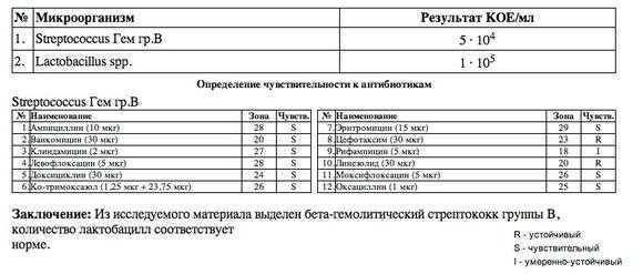 Мазок на флору: расшифровка результатов анализа, норма показателей и патология