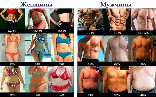 Питание для набора мышечной массы мужчинам: рацион и диета на неделю