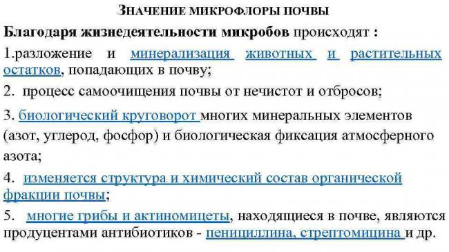 Круговорот азота — википедия с видео // wiki 2